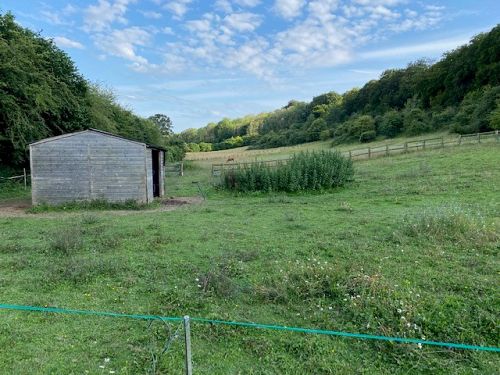 Pasture Land at Finchdean, Rowlands Castle Hampshire PO8 0AZ